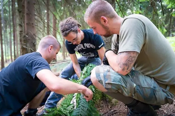 Drei Personen untersuchen gemeinsam eine Ansammlung von Pflanzen im Wald