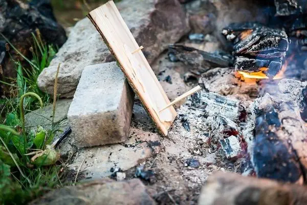 Holzstück steht auf einem Stein neben einer Feuerstelle
