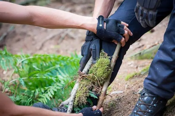 Zwei Hände halten einen Bündel aus Ästen und Moos in einem Wald