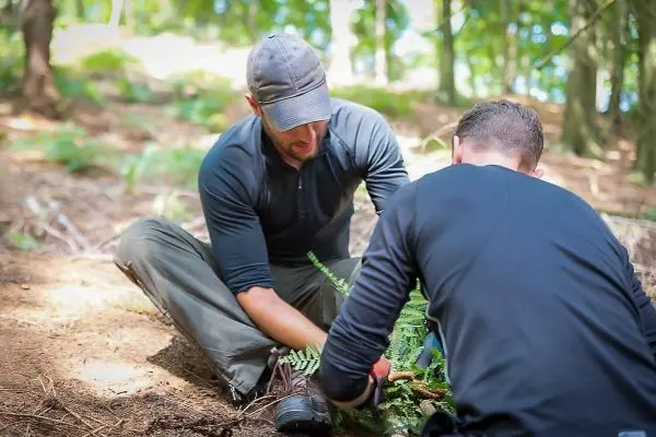 Zwei Personen arbeiten im Wald, eine pflanzt einen Farn in den Boden