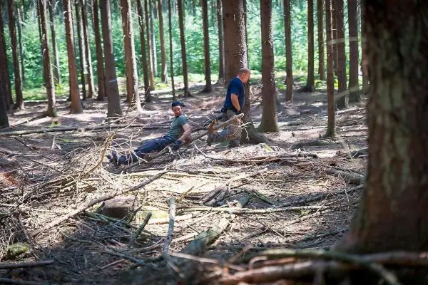 Zwei Personen sitzen auf dem Waldboden zwischen Ästen und Baumstämmen