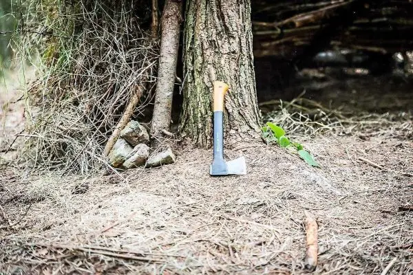 Axt steht neben einem Baumstamm auf dem Waldboden
