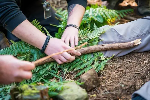 Hände positionieren einen Stock auf Farnen zur Stabilisierung einer improvisierten Trage
