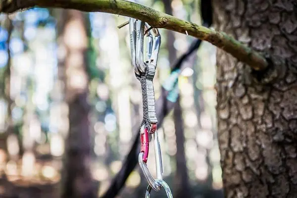Karabinerhaken hängen an einem Ast in einem Waldgebiet