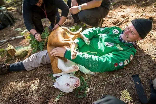 Person liegt auf dem Boden und spielt mit Hund im Wald