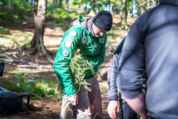 Person trägt einen Farn in einem Waldgebiet