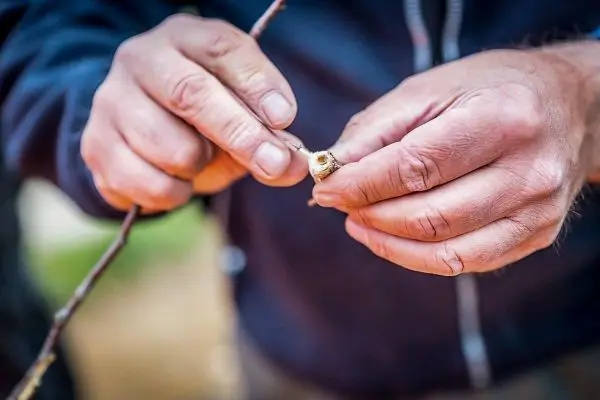Zwei Hände bearbeiten einen kleinen Ast, um eine Kerbe zu formen