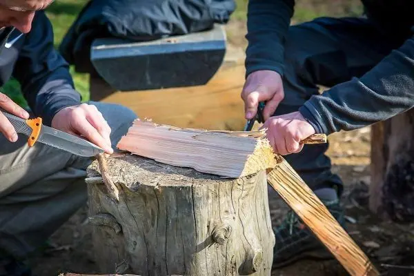 Zwei Personen bearbeiten Holz mit einer Klappsäge und einem Messer auf einem Baumstumpf