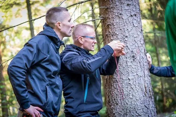 Zwei Personen beobachten eine Person, die ein Seil an einem Baum befestigt