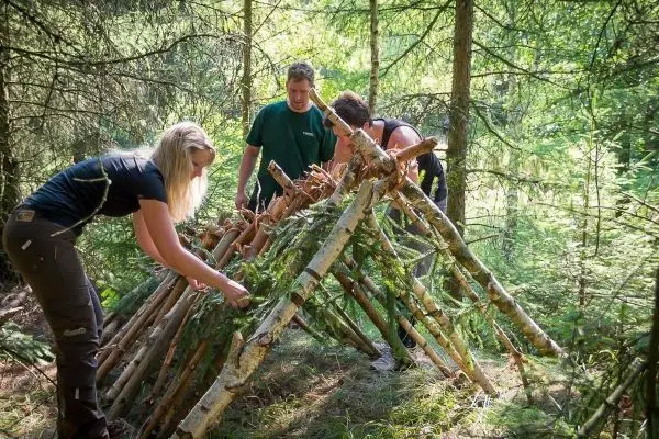 Drei Personen bauen eine Tarp-Notunterkunft aus Ästen und Zweigen