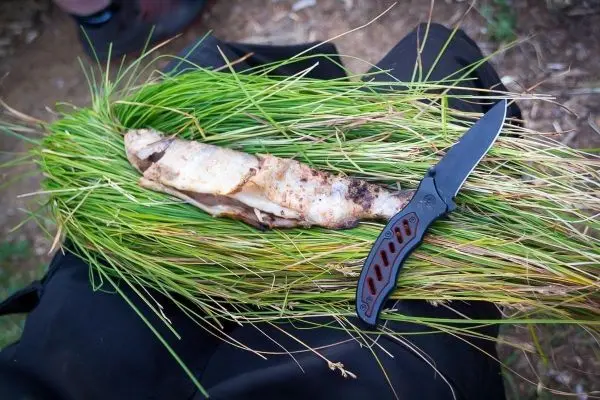 Ein Messer liegt neben einem gegrillten Fisch auf Gras