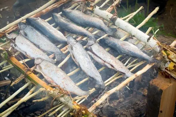 Fische liegen auf einem selbstgebauten Grill über Feuer