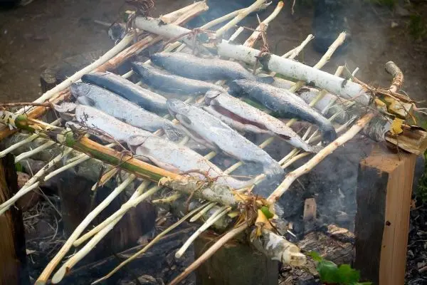 Fische liegen auf einer selbstgebauten Grillkonstruktion über dem Feuer