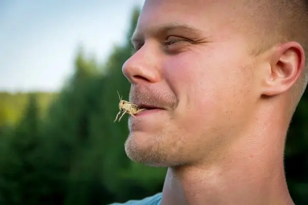 Grille sitzt auf der Lippe eines Mannes im Freien