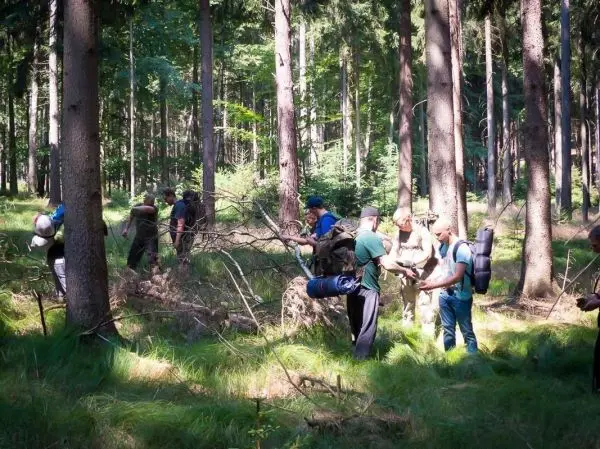 Gruppe von Personen arbeitet im Wald mit Rucksäcken und Ästen beim Überlebenstraining