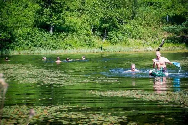 Gruppenschwimmen in einem klaren Gewässer mit Pflanzenbewuchs am Ufer