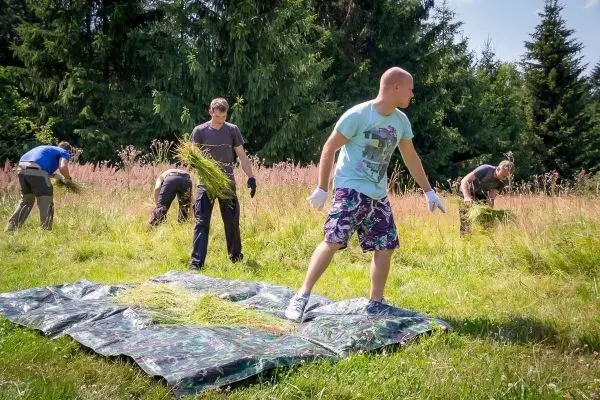 Gruppierung von Personen erntet Gras und legt es auf eine Plane im Freien