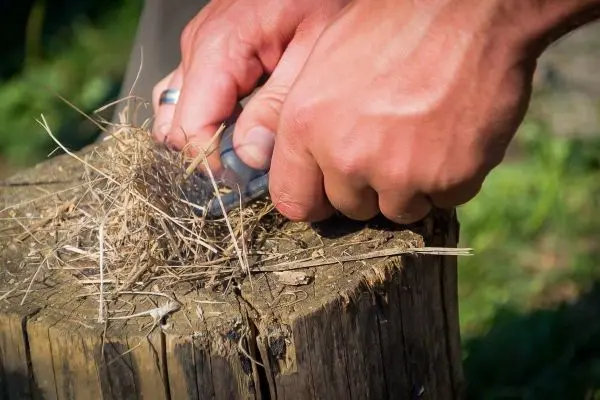 Hände schneiden trockenes Gras auf einem Holzstamm