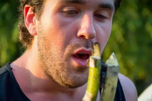 Mann bläst in ein selbstgebautes Blasinstrument aus Holz