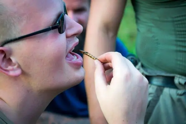 Mann hält Insekt vor Mund, bereit zum Essen