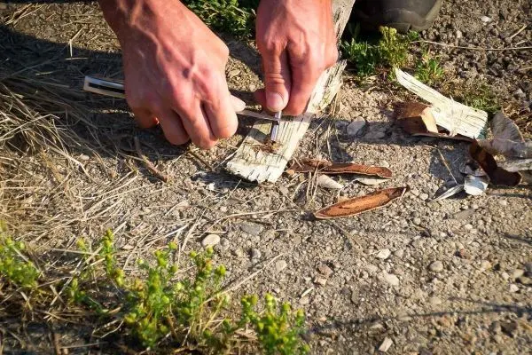 Messer schneidet Rinde auf dem Boden, um Zunder vorzubereiten