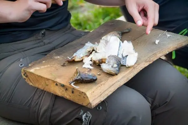 Person filetiert Fisch auf einem Holzbrett beim Überlebenstraining