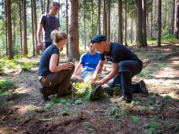 Personen sitzen im Wald und untersuchen Pflanzen beim Überlebenstraining