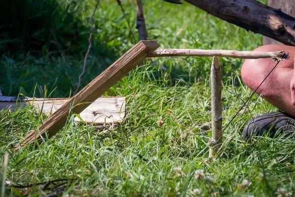 Schlagfalle (Figure-Four-Falle) mit Holzstücken und Schnur im Gras aufgebaut