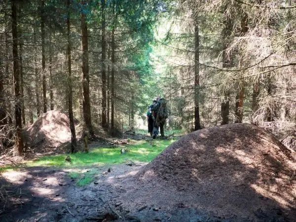 Waldweg mit zwei Erdhügeln und einer Person mit Rucksack im Hintergrund