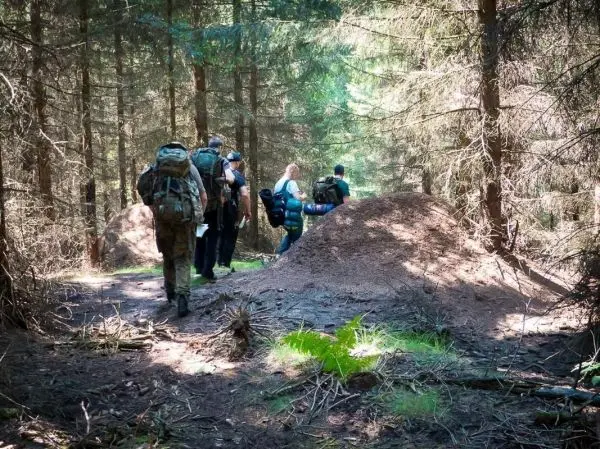 Wandernde Personen mit Rucksäcken auf einem Waldweg zwischen Erdhügeln
