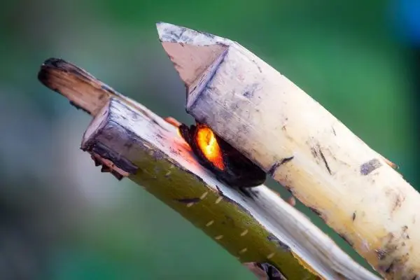 Zunder glimmt zwischen zwei Holzstücken