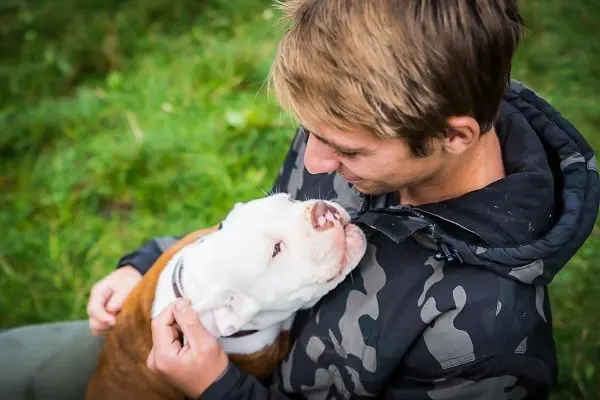Es sind ein Mensch und ein Hund auf einer Wiese zu sehen