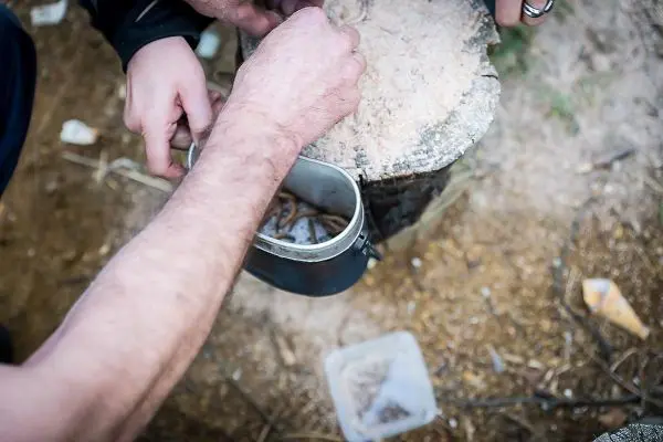 Hände entnehmen Inhalt aus einem Behälter auf einem Baumstumpf