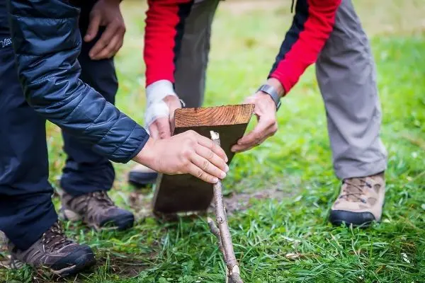 Hände positionieren einen Holzstock auf einer selbstgebauten Schlagfalle (Figure-Four)