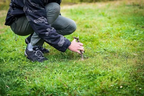 Hand greift nach einem Stock auf der Wiese