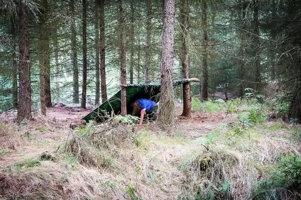 Mann baut Tarp-Notunterkunft zwischen Bäumen im Wald