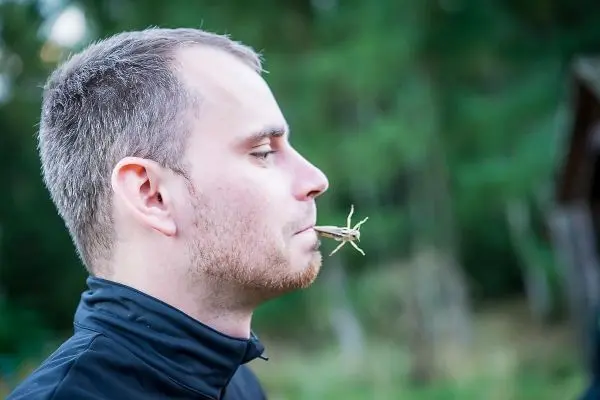 Mann hält einen Zweig zwischen den Lippen in einer natürlichen Umgebung