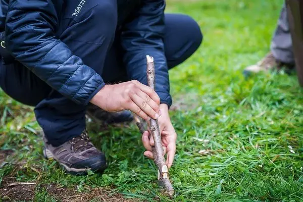 Person bearbeitet einen Stock auf dem Boden