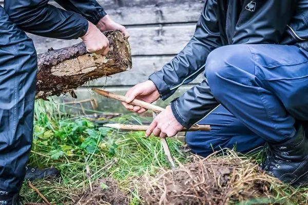 Person hält einen Baumstamm, während eine andere Person Äste bearbeitet beim Survival Training