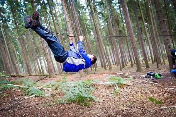 Person schwingt an Seil zwischen Bäumen im Wald