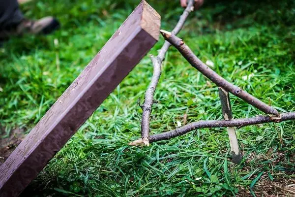 Schlagfalle (Figure-Four-Falle) mit Holzstück und Auslöser in Gras