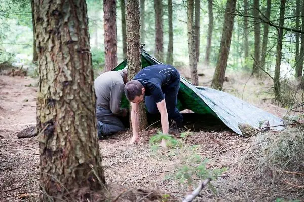 Zwei Personen bauen eine Tarp-Notunterkunft zwischen Bäumen auf