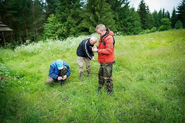 Drei Personen knien auf einer Wiese und arbeiten mit Materialien