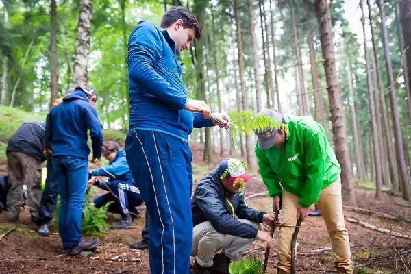 Gruppierung arbeitet im Wald an einer Holzstruktur mit Pflanzenmaterial