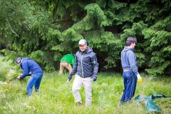 Gruppierung von Personen bei der Pflege von Wiese und Pflanzen im Wald