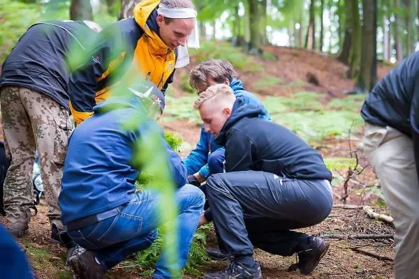 Gruppierung von Personen beugt sich über den Boden im Wald