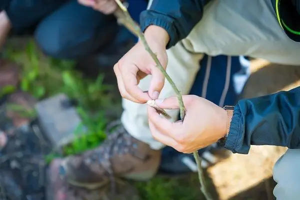 Hände formen einen Zunder aus einer Rinde an einem Stock