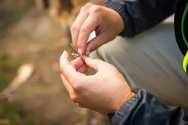 Hände halten ein kleines Stück Holz mit Kerben zur Bearbeitung