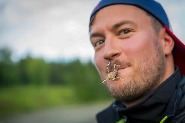 Mann hält eine Heuschrecke zwischen den Lippen und lächelt