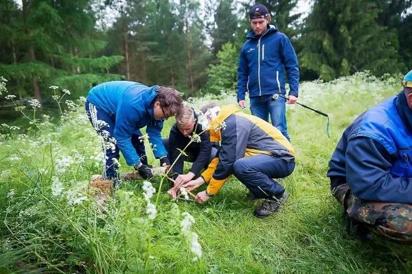 Personen arbeiten gemeinsam im Gras und untersuchen den Boden beim Überlebenstraining